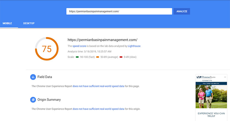 Google Page Insights Speed Test Image - Guide to WooCommerce