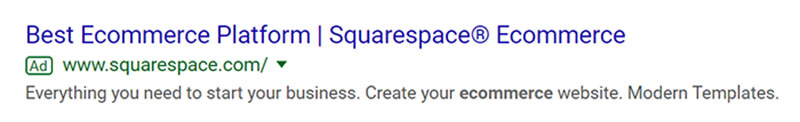 SquareSpace - SAAS Company Google Ad Example